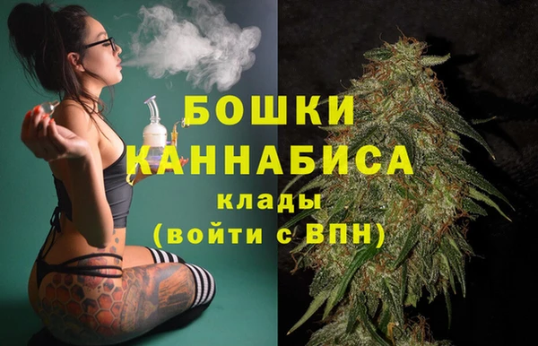 амф Новокубанск