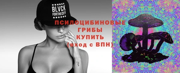 ешки Абинск