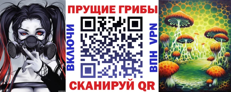 Псилоцибиновые грибы MAGIC MUSHROOMS где купить наркоту Александров